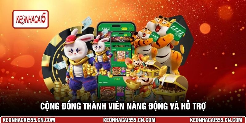 Cộng đồng thành viên năng động và hỗ trợ